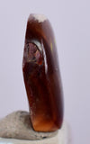 2cts FIRE AGATE CABOCHONS Natural Mexico Multi Color Gemstone Jewelry B16
