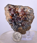 5.9cms SPHALERITE PYRITE Crystals Blenda Main Crystal Mineral Specimen Peru Collector M219