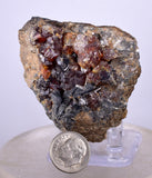 5.9cms SPHALERITE PYRITE Crystals Blenda Main Crystal Mineral Specimen Peru Collector M219
