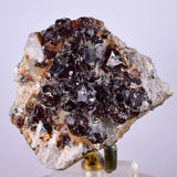 5.5cms SPHALERITE PYRITE Crystals Blenda Main Crystal Mineral Specimen Peru Collector M220