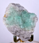 6.2cms GREEN FLUORITE Peru Huanzala Mine New Find Aesthetic Rare Gemmy Shiny Crystals Collector Mineral Specimen K90
