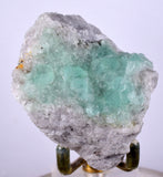 6.2cms GREEN FLUORITE Peru Huanzala Mine New Find Aesthetic Rare Gemmy Shiny Crystals Collector Mineral Specimen K90