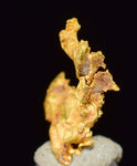 0.6cms NATIVE GOLD QUARTZ of the Incas Thumbnail Aesthetic Wire Gem Crystal Quartz Peru Rare Mineral Specimen L233