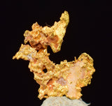 0.6cms NATIVE GOLD QUARTZ of the Incas Thumbnail Aesthetic Wire Gem Crystal Quartz Peru Rare Mineral Specimen L233