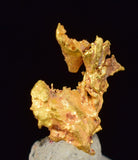 0.6cms NATIVE GOLD QUARTZ of the Incas Thumbnail Aesthetic Wire Gem Crystal Quartz Peru Rare Mineral Specimen L233