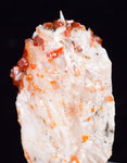 3.1cm VANADINITE CRYSTAL BARITE Mibladen Morocco Miniature Mineral Specimen W44