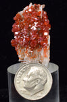 3.1cm VANADINITE CRYSTAL BARITE Mibladen Morocco Miniature Mineral Specimen W44