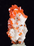 3.1cms VANADINITE CRYSTAL BARITE Mibladen Morocco Miniature Mineral Specimen W46