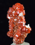 3.1cms VANADINITE CRYSTAL BARITE Mibladen Morocco Miniature Mineral Specimen W46