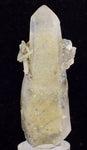 6.7cms GEM QUARTZ Natural Chlorite Included Phantom Crystal Peru Q350