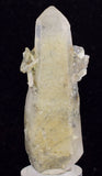 6.7cms GEM QUARTZ Natural Chlorite Included Phantom Crystal Peru Q350