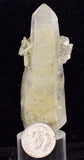 6.7cms GEM QUARTZ Natural Chlorite Included Phantom Crystal Peru Q350