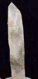 6.2cms GEM QUARTZ Natural Chlorite Included Phantom Crystal Peru Q351