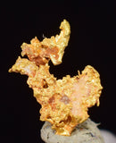 0.6cms NATIVE GOLD QUARTZ of the Incas Thumbnail Aesthetic Wire Gem Crystal Quartz Peru Rare Mineral Specimen L233