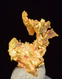 0.6cms NATIVE GOLD QUARTZ of the Incas Thumbnail Aesthetic Wire Gem Crystal Quartz Peru Rare Mineral Specimen L233