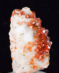 3.1cm VANADINITE CRYSTAL BARITE Mibladen Morocco Miniature Mineral Specimen W44