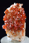 3.1cm VANADINITE CRYSTAL BARITE Mibladen Morocco Miniature Mineral Specimen W44