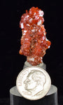 3.1cms VANADINITE CRYSTAL BARITE Mibladen Morocco Miniature Mineral Specimen W46