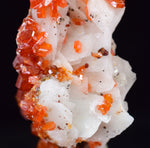 3.1cms VANADINITE CRYSTAL BARITE Mibladen Morocco Miniature Mineral Specimen W46