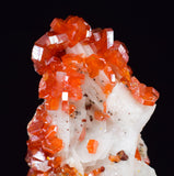 3.1cms VANADINITE CRYSTAL BARITE Mibladen Morocco Miniature Mineral Specimen W46