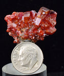 3cms VANADINITE CRYSTAL BARITE Mibladen Morocco Miniature Mineral Specimen W49
