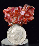 3cms VANADINITE CRYSTAL BARITE Mibladen Morocco Miniature Mineral Specimen W49