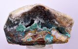 6.8cms GEM SILICA CHRYSOCOLLA Druzy Quartz Stalactites Lily Mine Peru Calcite Geodes Mineral Specimen D259