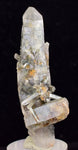 5.6cms GEM QUARTZ Natural Chlorite Included Phantom Crystal Peru Q352