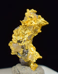 0.9cms NATIVE GOLD QUARTZ of the Incas Thumbnail Aesthetic Wire Gem Crystal Smoky Quartz Peru Rare Mineral Specimen L237