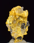 0.9cms NATIVE GOLD QUARTZ of the Incas Thumbnail Aesthetic Wire Gem Crystal Smoky Quartz Peru Rare Mineral Specimen L237