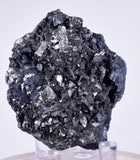 4.9cm GEM ENARGITE PYRITE Crystals Peru Shiny Mineral Specimen Collector H298
