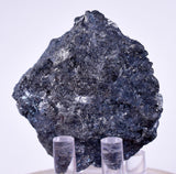 4.9cm GEM ENARGITE PYRITE Crystals Peru Shiny Mineral Specimen Collector H298