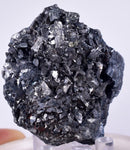 4.9cm GEM ENARGITE PYRITE Crystals Peru Shiny Mineral Specimen Collector H298