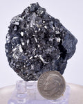 4.9cm GEM ENARGITE PYRITE Crystals Peru Shiny Mineral Specimen Collector H298