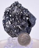 4.9cm GEM ENARGITE PYRITE Crystals Peru Shiny Mineral Specimen Collector H298