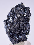 4.8cm GEM ENARGITE PYRITE Crystals Peru Shiny Mineral Specimen Collector H300