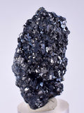 4.8cm GEM ENARGITE PYRITE Crystals Peru Shiny Mineral Specimen Collector H300
