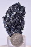 4.8cm GEM ENARGITE PYRITE Crystals Peru Shiny Mineral Specimen Collector H300