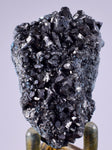 4.6cm GEM ENARGITE PYRITE Crystals Peru Shiny Mineral Specimen Collector H301