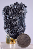 4.6cm GEM ENARGITE PYRITE Crystals Peru Shiny Mineral Specimen Collector H301