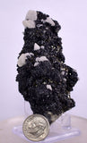 8.5cms SPHALERITE CALCITE PYRITE Crystals Old Stock Collector  Mineral Specimen G245