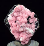3.1cms RHODOCHROSITE ROSETTE SPHALERITE  Pyrite Peru Pink Crystals Collector Mineral Specimen R570