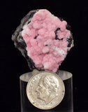 3.1cms RHODOCHROSITE ROSETTE SPHALERITE  Pyrite Peru Pink Crystals Collector Mineral Specimen R570