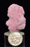 3.7cms RHODOCHROSITE ROSETTE SPHALERITE Pyrite Peru Pink Crystals Collector Mineral Specimen R572