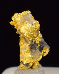 0.9cms NATIVE GOLD QUARTZ of the Incas Thumbnail Aesthetic Wire Gem Crystal Smoky Quartz Peru Rare Mineral Specimen L237