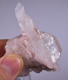 6.5cms  PINK LITHIUM QUARTZ Colombia Rare Shiny Crystal Mineral Specimen Q364