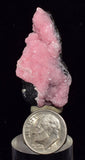 4.1cms RHODOCHROSITE ROSETTE SPHALERITE  Pyrite Peru Pink Crystals Collector Mineral Specimen R575
