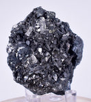 4.9cm GEM ENARGITE PYRITE Crystals Peru Shiny Mineral Specimen Collector H298
