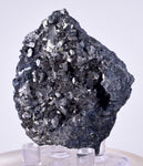 4.9cm GEM ENARGITE PYRITE Crystals Peru Shiny Mineral Specimen Collector H298