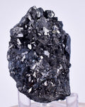 4.9cm GEM ENARGITE PYRITE Crystals Peru Shiny Mineral Specimen Collector H298